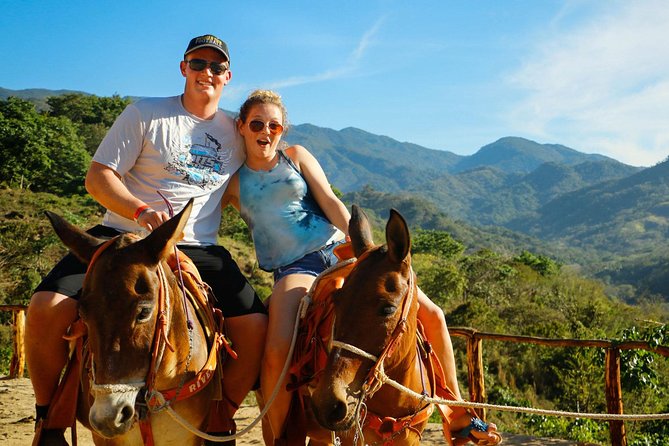 Canopy River Zipline Tour and Mule Ride - Included Activities