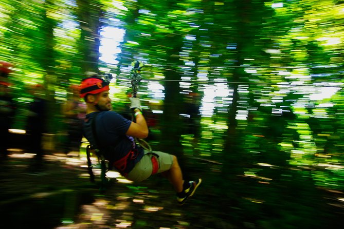 Canopy Tour Plus Walk in Monteverde Cloud Forest - Wildlife and Biodiversity