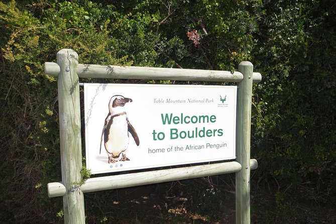 Cape of Good Hope & Penguin Small Group Tour From Cape Town - Pickup and Dropoff