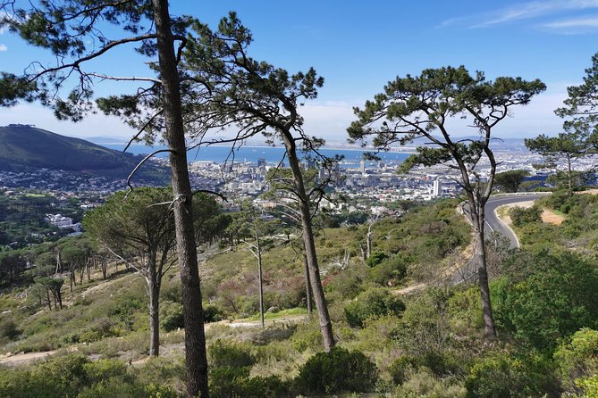 Cape Town City Tour Including Lions Head With Wi-Fi on Board. - Luxury Transportation