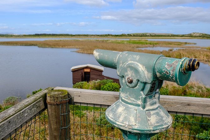 Cape Town Private Birding Tour - Pickup and Start Details