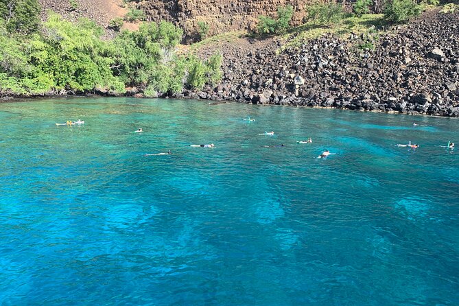 Captain Cook Reef Snorkeling of Kealakekua Bay - Health and Safety Guidelines
