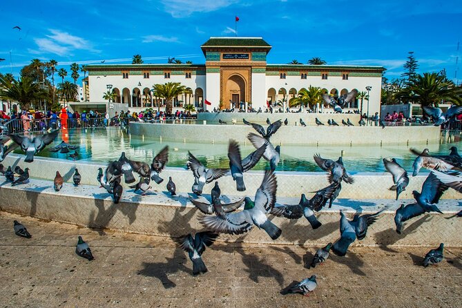 Casablanca Half-Day Guided Tour - Pickup Information Details