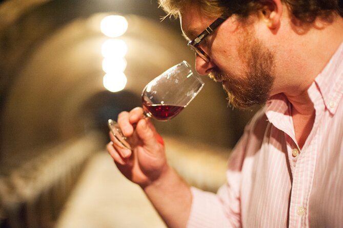 Castle Epicurean Experience With Wine & Local Specialties - Vineyard and Cellar Tour