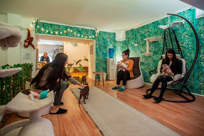 Cat Museum Budapest Entry Ticket - Visitor Reviews and Ratings