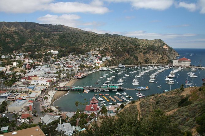 Catalina Island Day Trip From Anaheim Hotels With Discover Avalon Tour - Tour Accessibility and Requirements