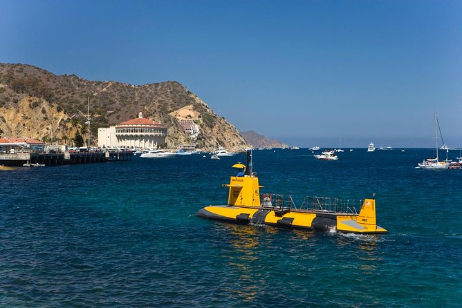 Catalina Island Trip With Hotel Transfers & Optional Tours - Customer Feedback and Insights
