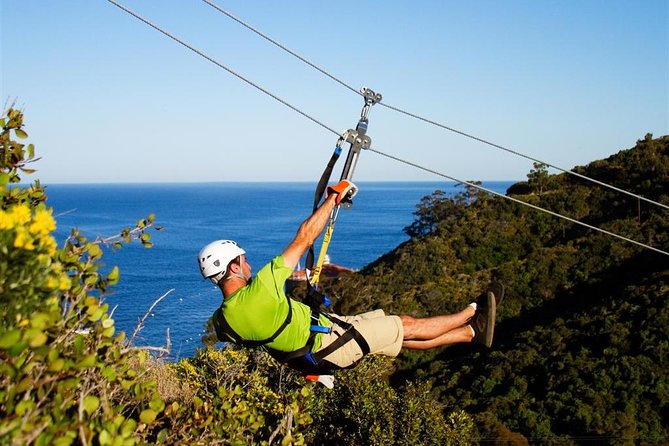 Catalina Island Trip With Zipline Eco Tour and Hotel Transfers - Meeting and Pickup Details