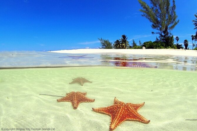 Cayman Adventure: Starfish Point, Stingray City and Coral Gardens - Health and Safety Guidelines