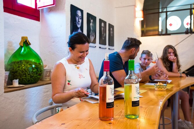 Cellar Visit and Wine Tasting in Salento - Highlights of the Tasting