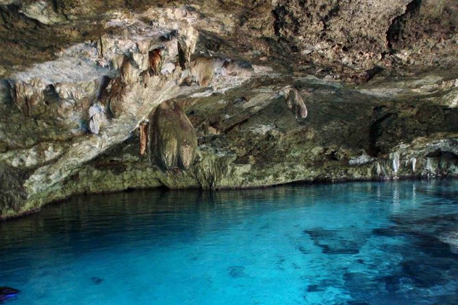 Cenote Exploration Tour - Mayan Culture & Ancient Fossils & Fun! - Meeting and Pickup