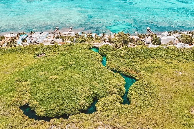 Cenote Paddleboarding and Snorkeling in Tulum - Lunch and Local Cuisine