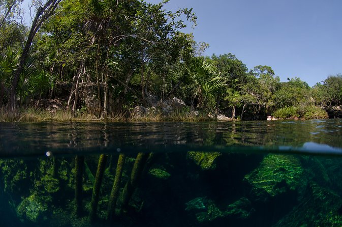 Cenotes Snorkeling Excursion - Group Size and Confirmation
