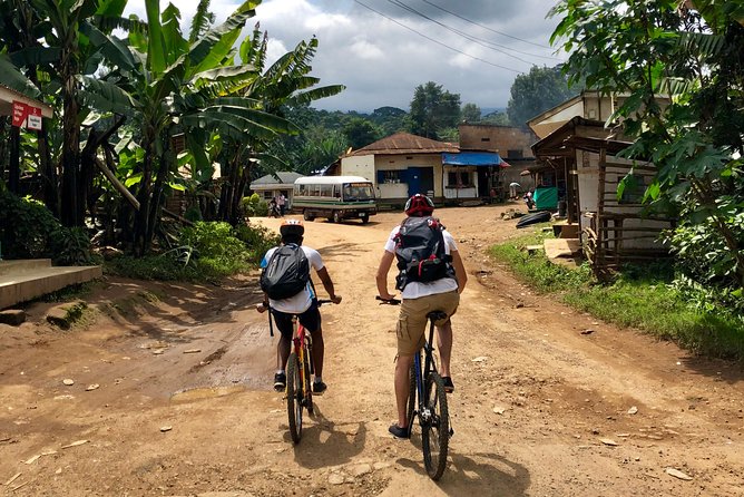 Chagga Villages in Mount Kilimanjaro Cycling Day Trip - Learning About Local Culture and Farming
