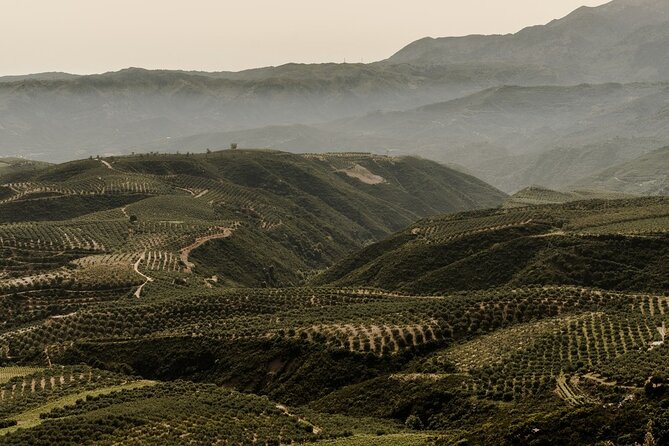 Chania Luxury Jeep Safaris: Secrets of Wine & Olive Oil Tastings - Authentic Reviews