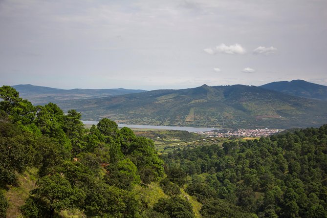 Chapala Lake & Ajijic Tour With Tres Potrillos Ranch - Guest Experiences