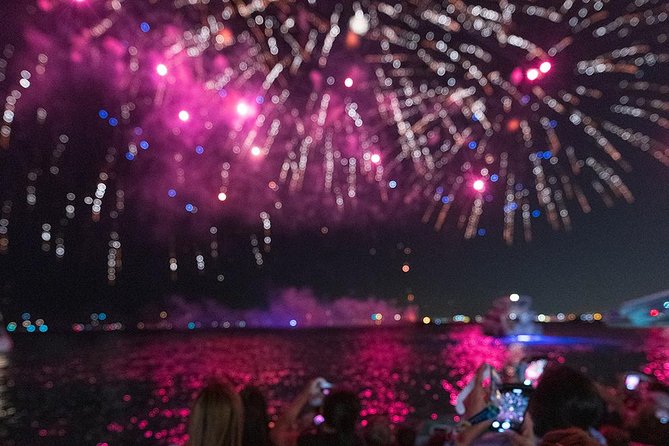 Chicago 3D Fireworks Cruise - Accessibility and Attire