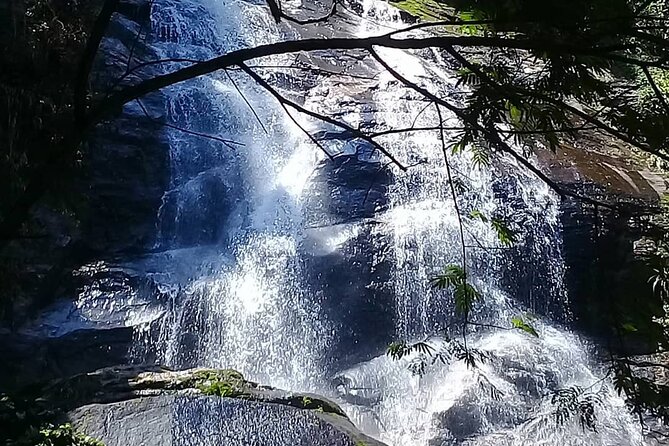 Chinese View and Tijuca Forest - Transport + Tour Guide - Highlights of the Chinese View