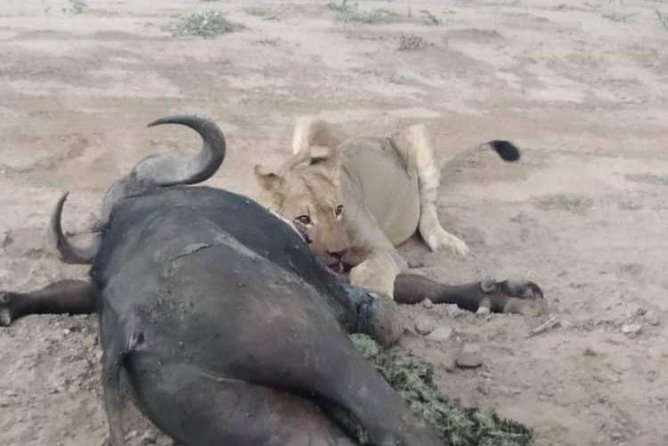 Chobe Day Trip - Booking Your Adventure