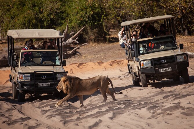 Chobe Day Trip, Botswana - Day Trip Itinerary