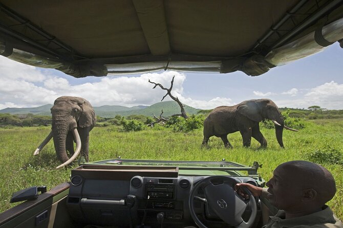 Chobe Extended Day Trip From Victoria Falls - Small Group - Whats Included in the Tour