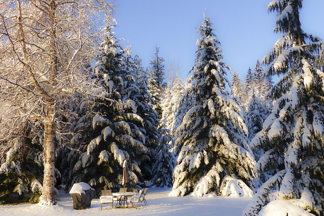 Christmas Charms of Manchester - Private Walking Tour - Taking in Holiday Cheer
