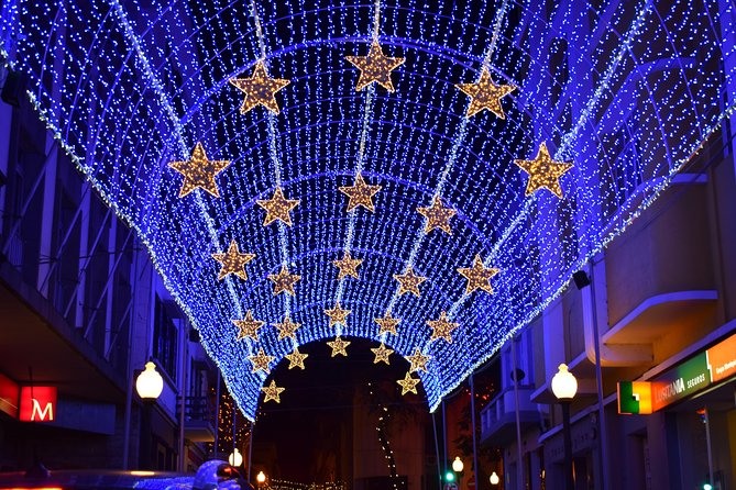 Christmas Lights Tukxi Tour (Price per Tukxi - up to 5 People) - Whats Included