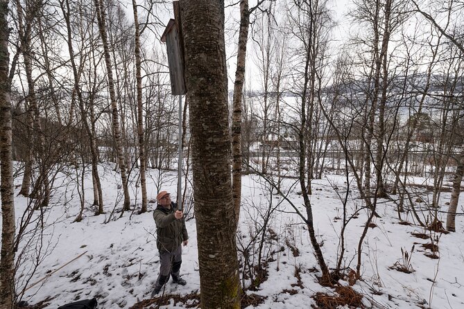 Citizen Science Monitor Owls in the Wilderness Near Tromsø - Physical Fitness Requirement