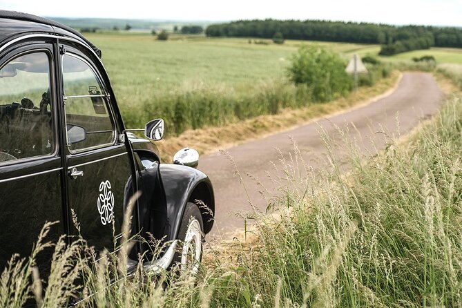 Citroën 2CV Burgundy Rental and Gourmet Picnic - Accessibility and Service Considerations