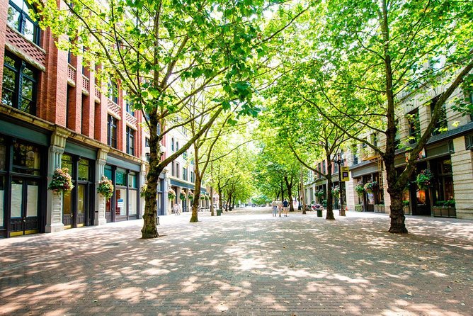 CitySightseeing Seattle Hop-On Hop-Off Bus Tour + Bookable Extras - Customer Feedback and Experiences