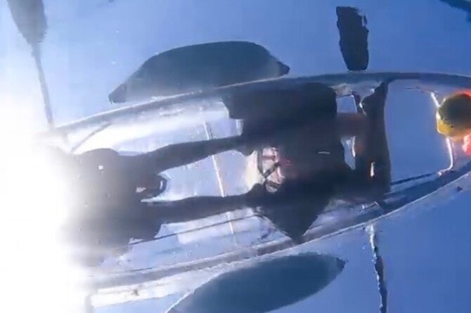 Clear Bottom Glassy Kayak Rental | Safe and Stable Kayaks - Reviews and Ratings