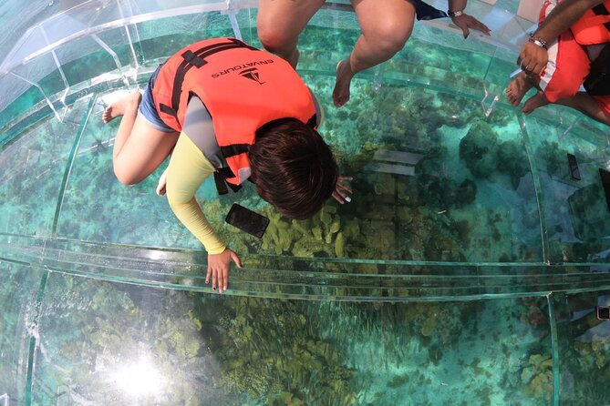 Clearboat in Cancun + Refreshments !! - Tour Experience