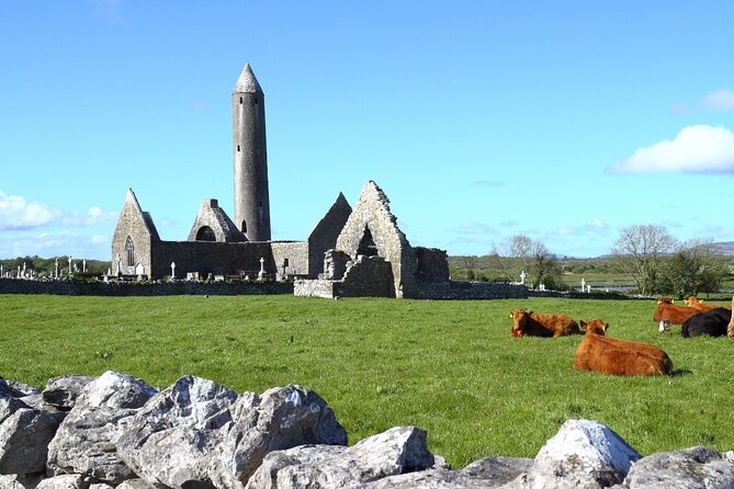 Cliffs of Moher, Burren and Galway City Tour - Tour Expectations and Accessibility
