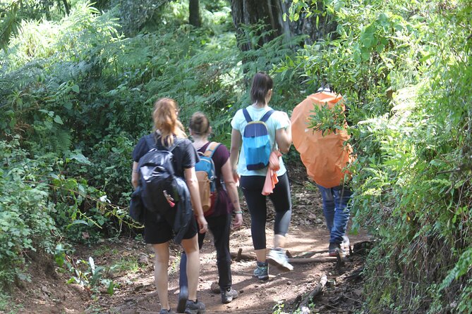 Climb Mount Kilimanjaro via Lemosho Route 7 Days Group Joining - Physical Fitness Requirements