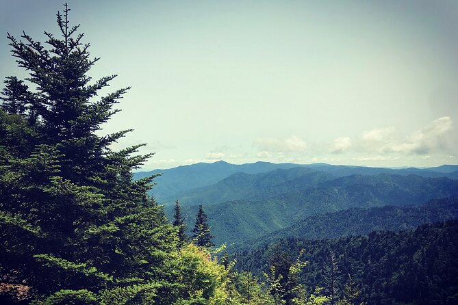 Clingmans Dome Hike - Guided Tour Highlights