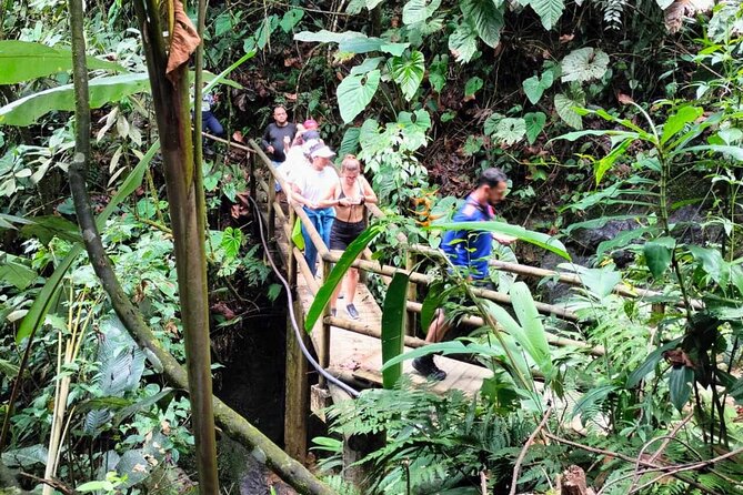 Cocoa and Chocolate Tour in San Rafael From Medellín - Health and Safety Considerations