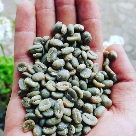 Coffee Lovers Express Coffee Tour - Pricing and Cancellation Policy