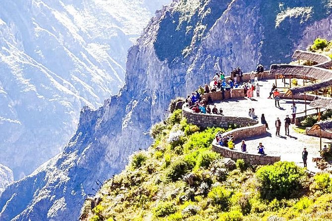 Colca Canyon Excursion One Day - Scenic Viewpoints and Condor Watching