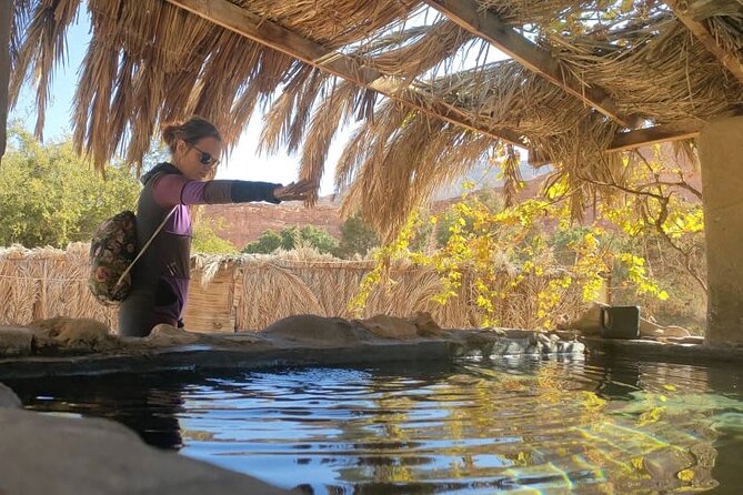Colored, Closed, Hamata, White, Canyons, and Khudra Spring Oasis - Exploring Khudra Spring Oasis