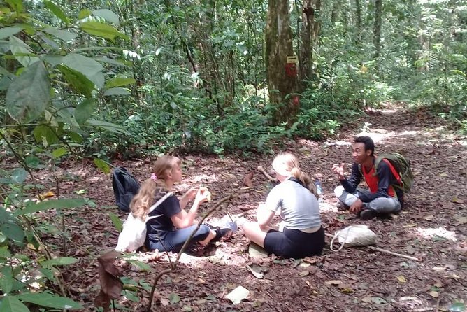 Combine of Tamblingan Waterfall and Twin Lake Tour - Health and Accessibility Considerations