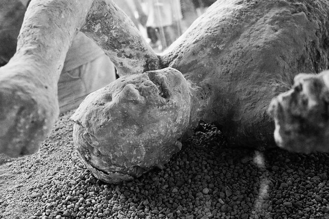 Combined Tour of Vesuvius and Pompeii Ruins With Audio Guide - Feedback From Travelers