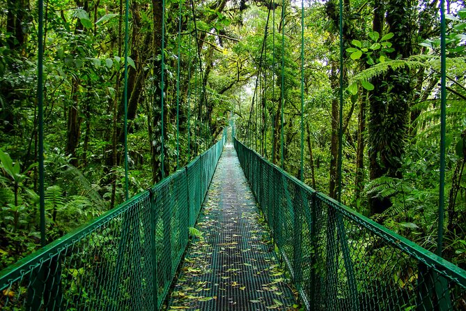 Combo: Day Trip to Hanging Bridges + ZipLine in Monteverde - Health and Safety Considerations