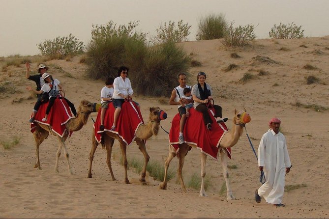 Combo Dubai City Tour and Desert Safari - Traversing the Dubai Creek