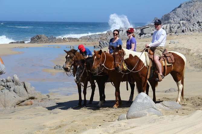 Combo Horseback Beach Ride & ATV Adventure in Los Cabos - Customer Reviews and Feedback