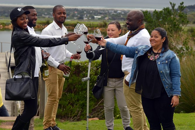 Constantia Winelands Private Wine Tour From Cape Town - Customer Feedback and Ratings