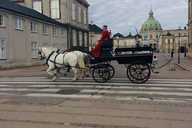 Copenhagen Walking Tour With Food Testing (Smorrebrod Dish & Snap) - Food Experience