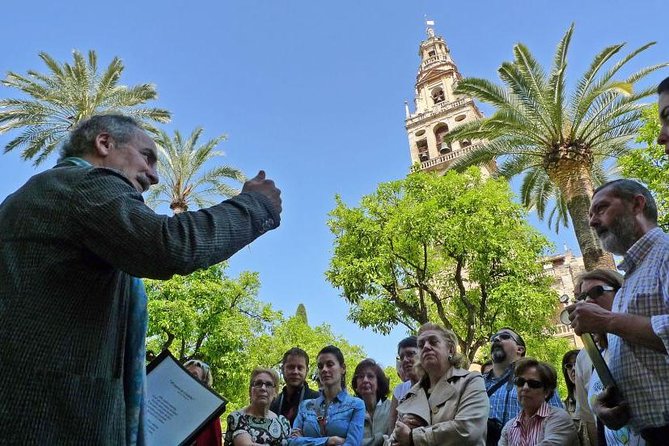 Cordoba With Mosque-Cathedral Private Tour From Granada - Multilingual Tour Guides