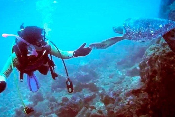Costa Diving Tour - Machalilla National Park - Cost and Guarantee