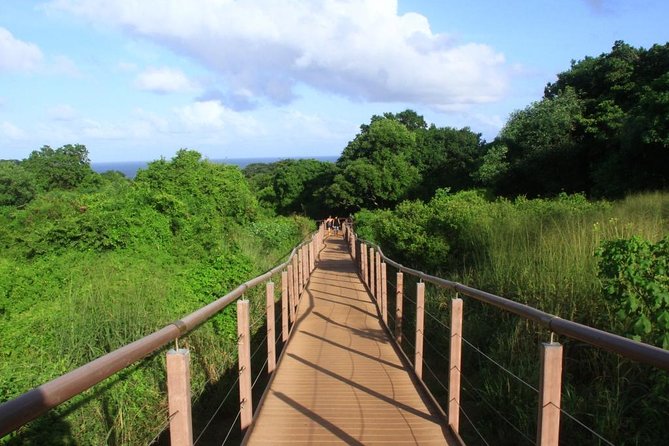 Costa Dos Mirantes Trail Tour From Fernando De Noronha - Swimming and Free Diving