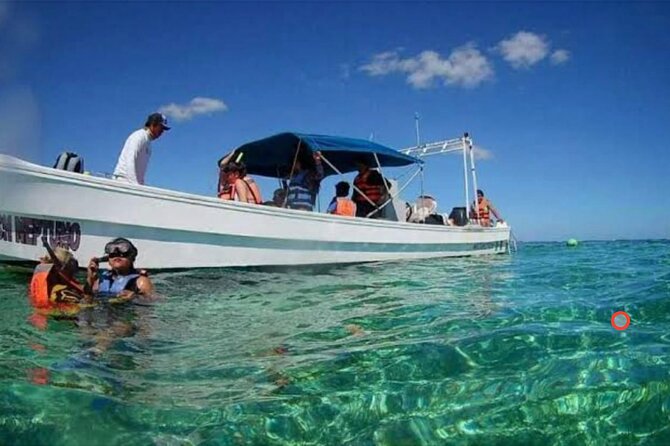 Costa Maya Reef Snorkeling Excursion + Beach Day by Lachilangaloense Freeshuffle - Accessibility Considerations